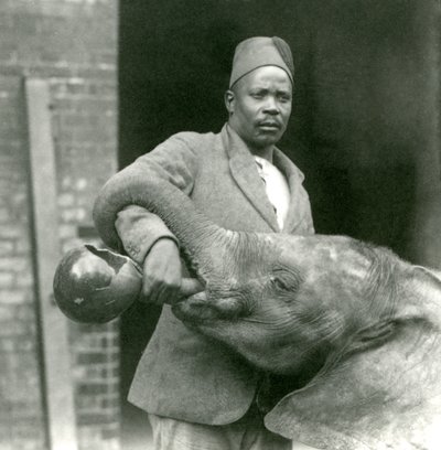 Jonge Afrikaanse olifant Kiberenge krijgt een drankje van Darisha, London Zoo, september 1923 door Frederick William Bond